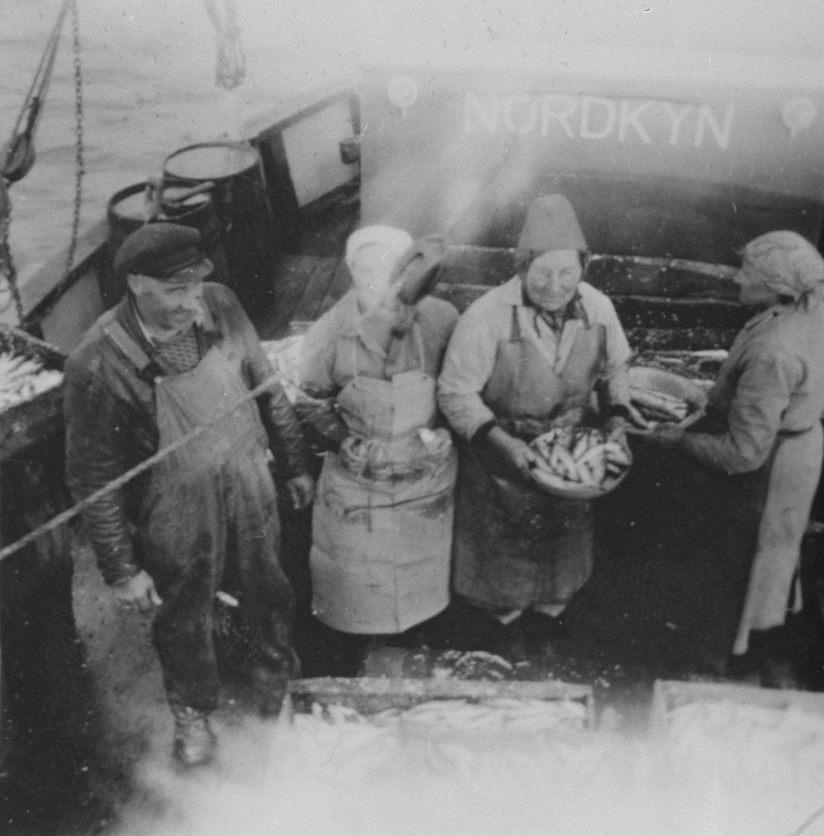 Fire sildearbeidere ombord i Nordkyn bearbeider dagens fangst