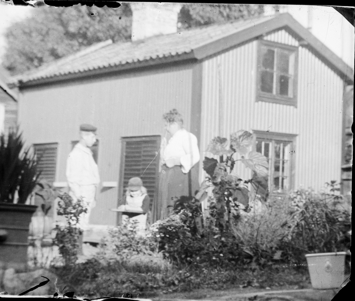 Josef, Tyra och Brita Edhlund i trädgården, Östhammar, Uppland