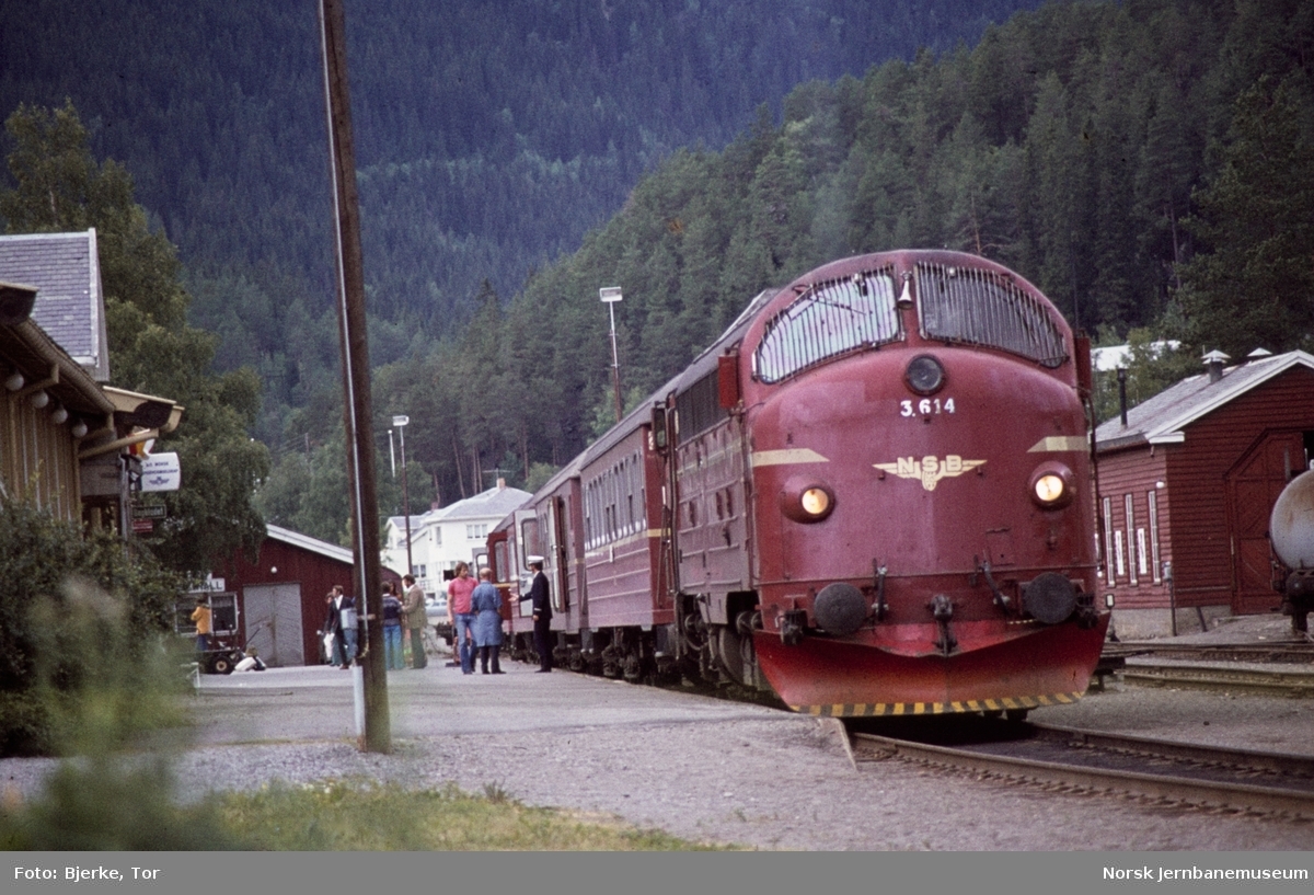 Diesellokomotiv Di 3 614 med persontog til Oslo Ø på Fagernes stasjon
