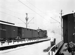 Damplokomotiv type 31a med godstog på Halden stasjon