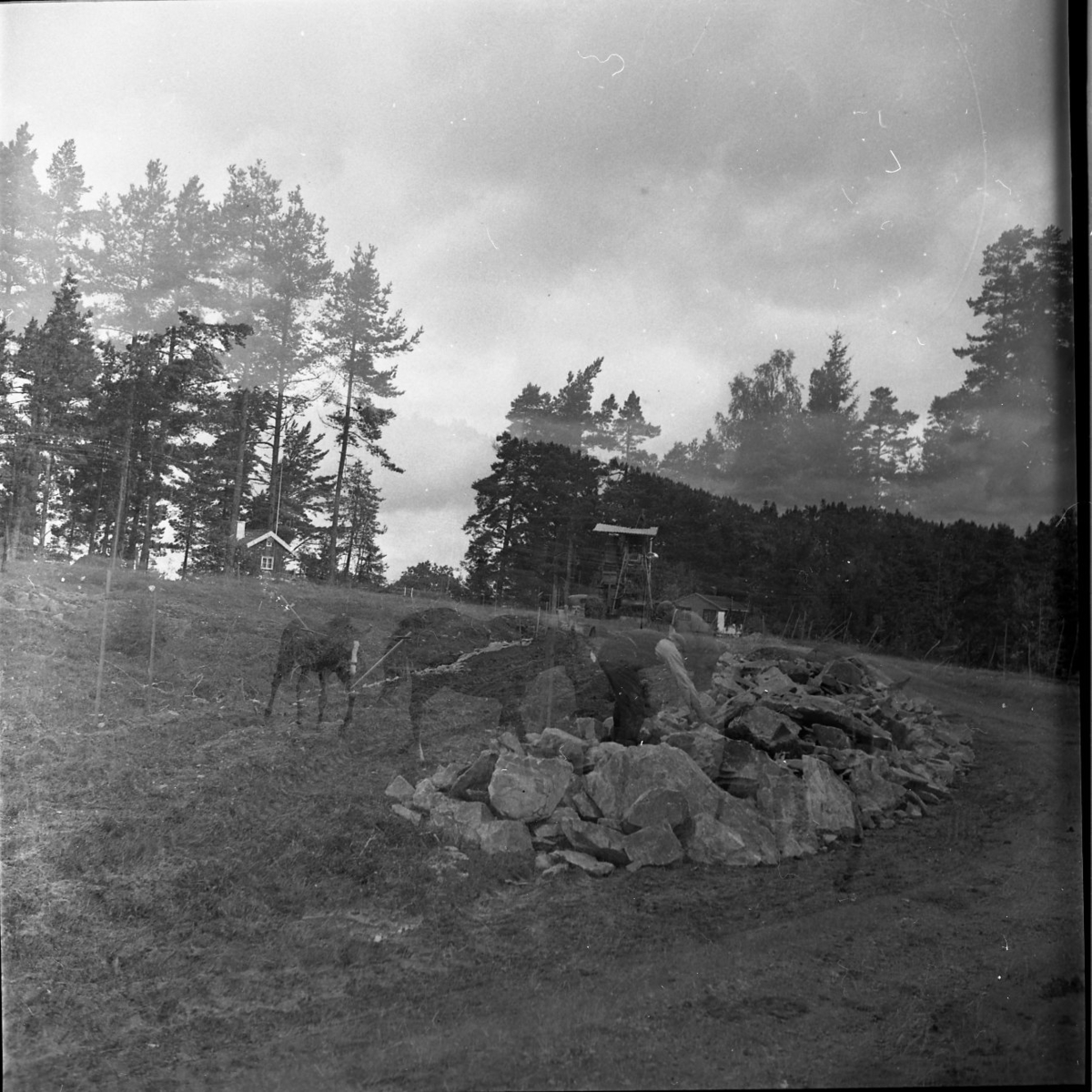 Vägarbete mellan Bunnström och Östanå 1960. Bilden är dubbelexponerad, på en bild syns vägarbete och på den andra bilden syns två hästar.