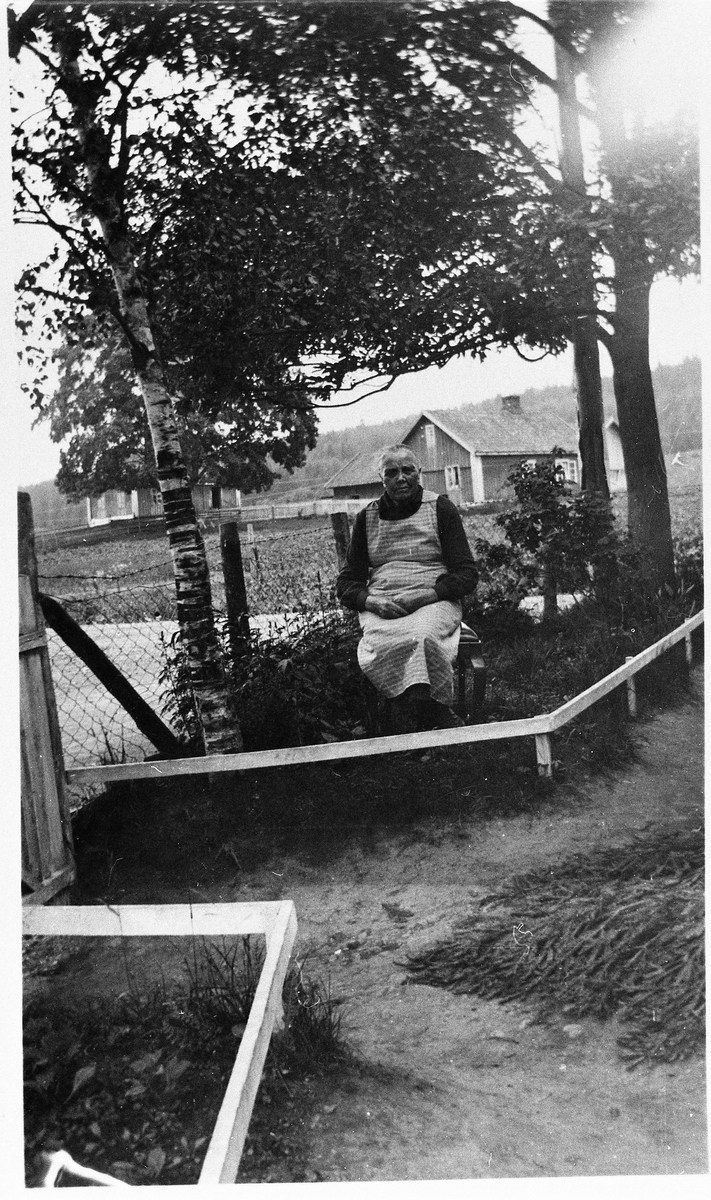 Hagen på Linset ved Vennevoll-krysset i Østre Toten. Personen er Berte Marie Kjeldsberg (1855-1935). I bakgrunnen er søndre og nordre Hestsveen.