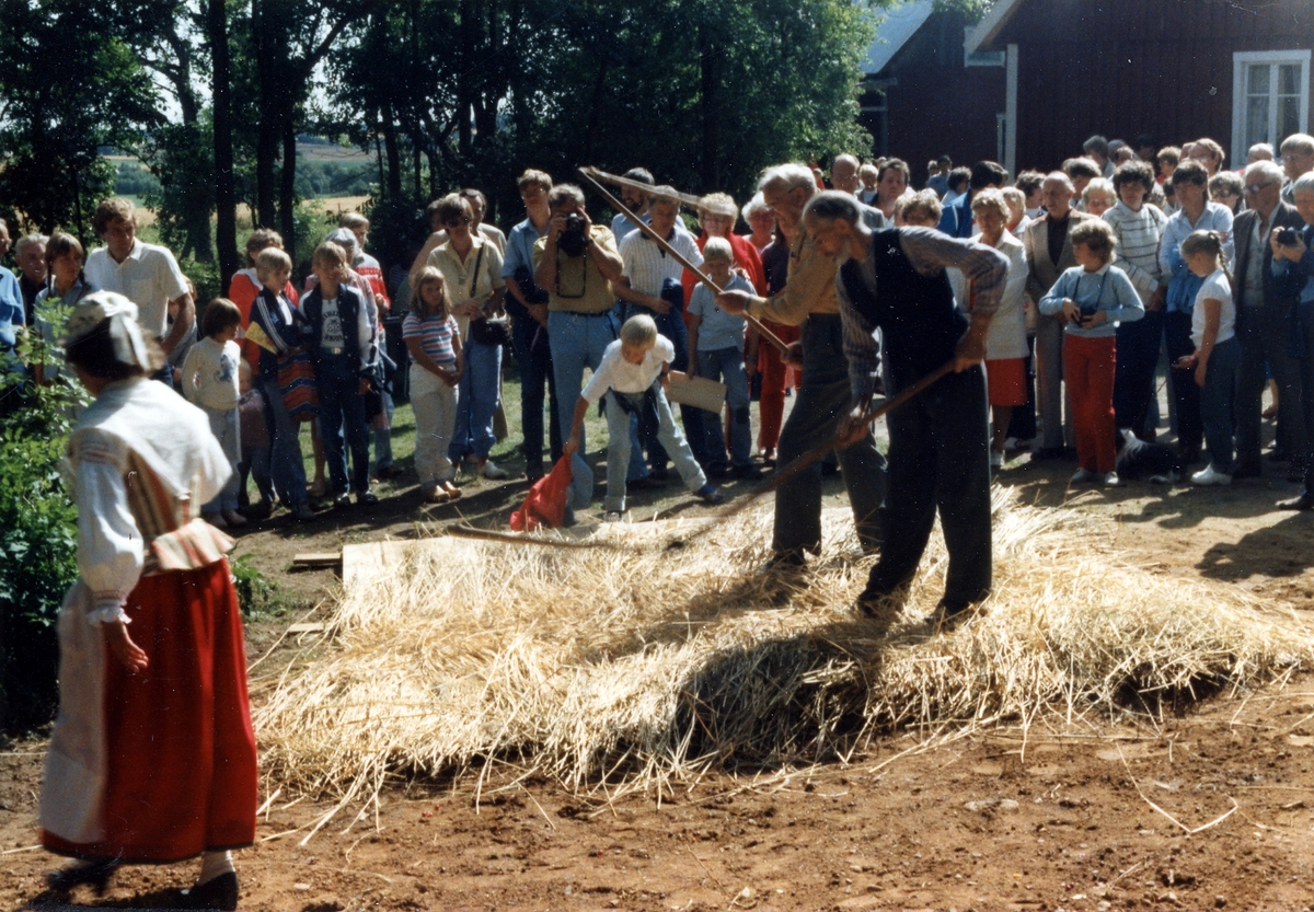 Foto 1 Slagtröskning på hembygdsdag arrangerad av Kvibille hembygdsförening den 15 augusti 1982 vid Palms stuga.
Foto 2 Palms stuga med nylagt takspån.
Foto: Lennart Lundborg, augusti 1982.