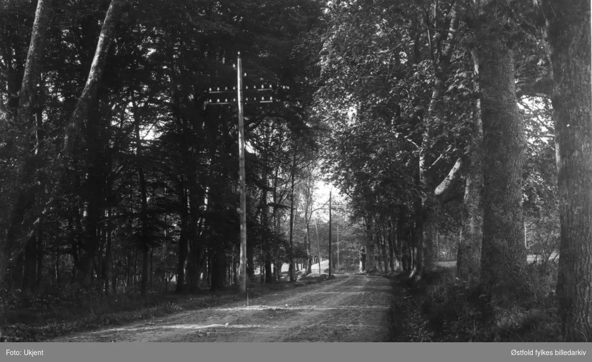 Gernerlunden ca. 1920, dengang lå området i Rygge kommune. Postkort.