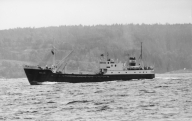 M/T Esso 30 (b.1948, Glommens mek. Verksted, Fredrikstad)