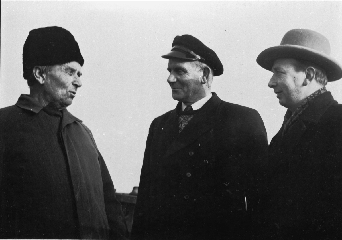 Gruppebilde av tre menn, tatt ombord i M/F "Tjeldsundfergen III".