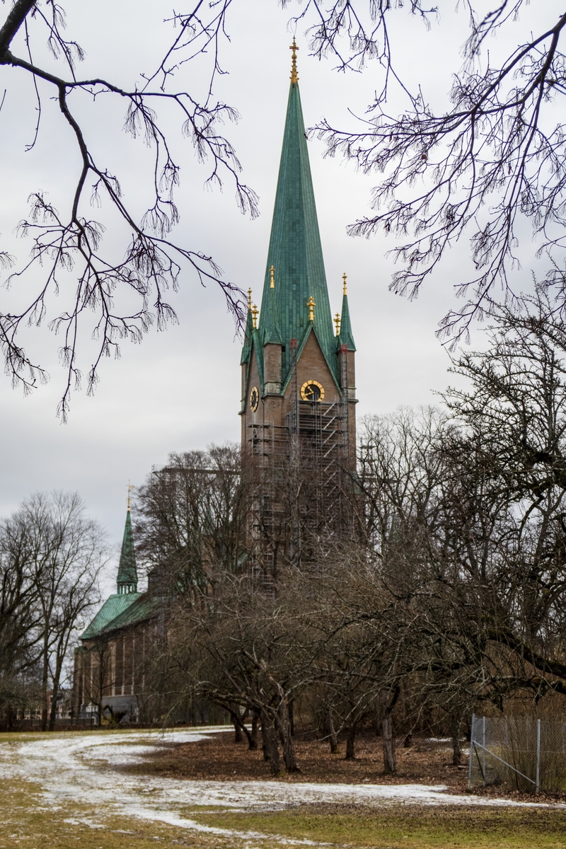 Vy från biblioteksparken mot Linköpings domkyrka. Februari 2023 startar en restaurering av domkyrkans torn. De första byggnadsställningarna är på plats.