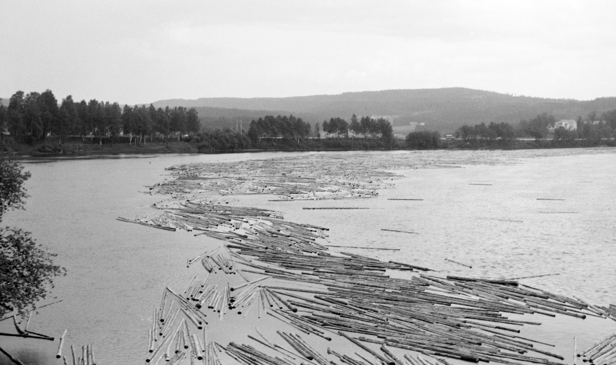 Fløtingstømmer på blankt vannspeil, fotografert fra Skarnes bru i Sør-Odal i Hedmark i 1963. Her gjør Glomma en kraftig sving. Elva kommer fra sørøst og renner videre mot sørvest. Her møttes tømmer fra Østerdalen og Solør, som kom flytende på Glomma,, og tømmer fra Odalen, som kom flytende på Oppstadåa. Dette fotografiet er tatt i motstrøms retning mot et stilleflytende elveparti. I forgrunnen ser vi et vannspeil med fløtingstømmer.