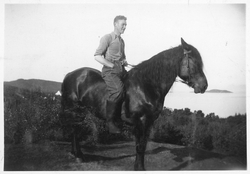 Mann på en hest, med Trondeneskirka og Måga i bakgrunnen.