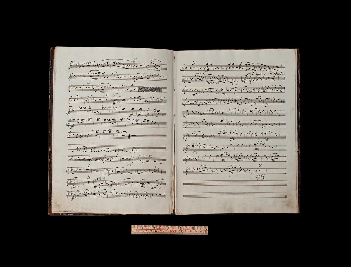 17 stycken inbundna notböcker - för både violin, klarinett, piano, flöjt osv. 1800-tal och 1900-talets första hälft. Från Visby Högre Allmänna Läroverk.