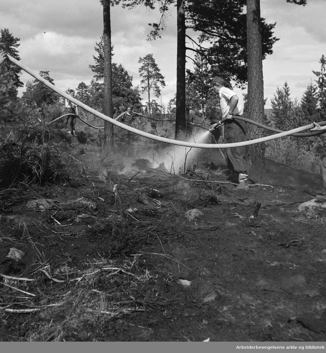 Slukking av en skogbrann i Oslomarka. Udatert. Ingen andre oppl.1953