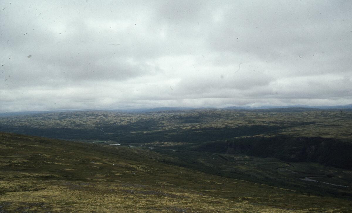Innerdalen, august 1979.