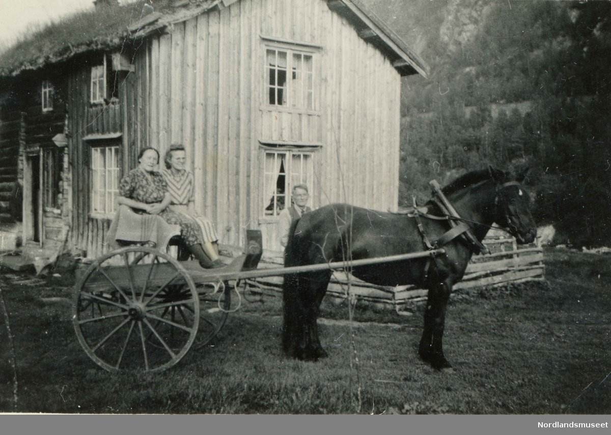 Tre personer med hest og kjerre utenfor et hus med torvtak. Kan være barndomsheimen til Ane Marie Oline Albrigtsen Osbakk (f. 1858) i Beiarn. Ane ble gift i 1885 med Jens Kristian Knudsen fra Sund i Leiranger.