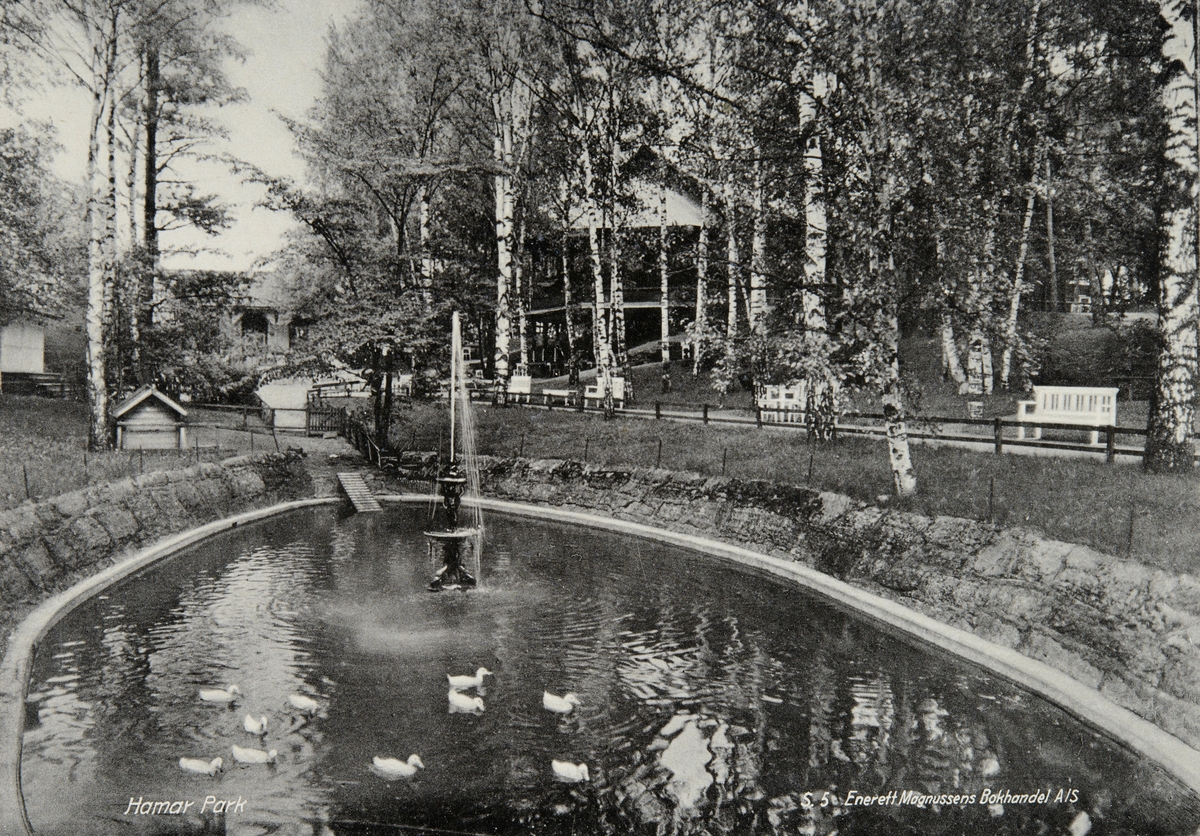 Postkort, Hamar Park, andedam med andehus, dam med vannfontene, 
 