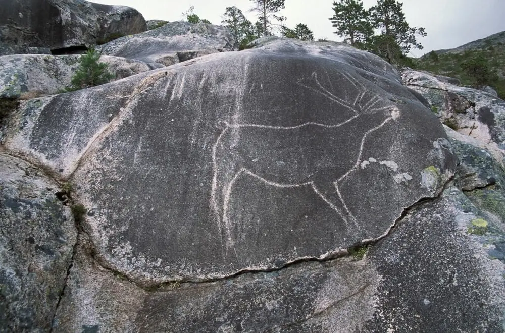 Bergkunst: reinsdyr på en bergvegg.