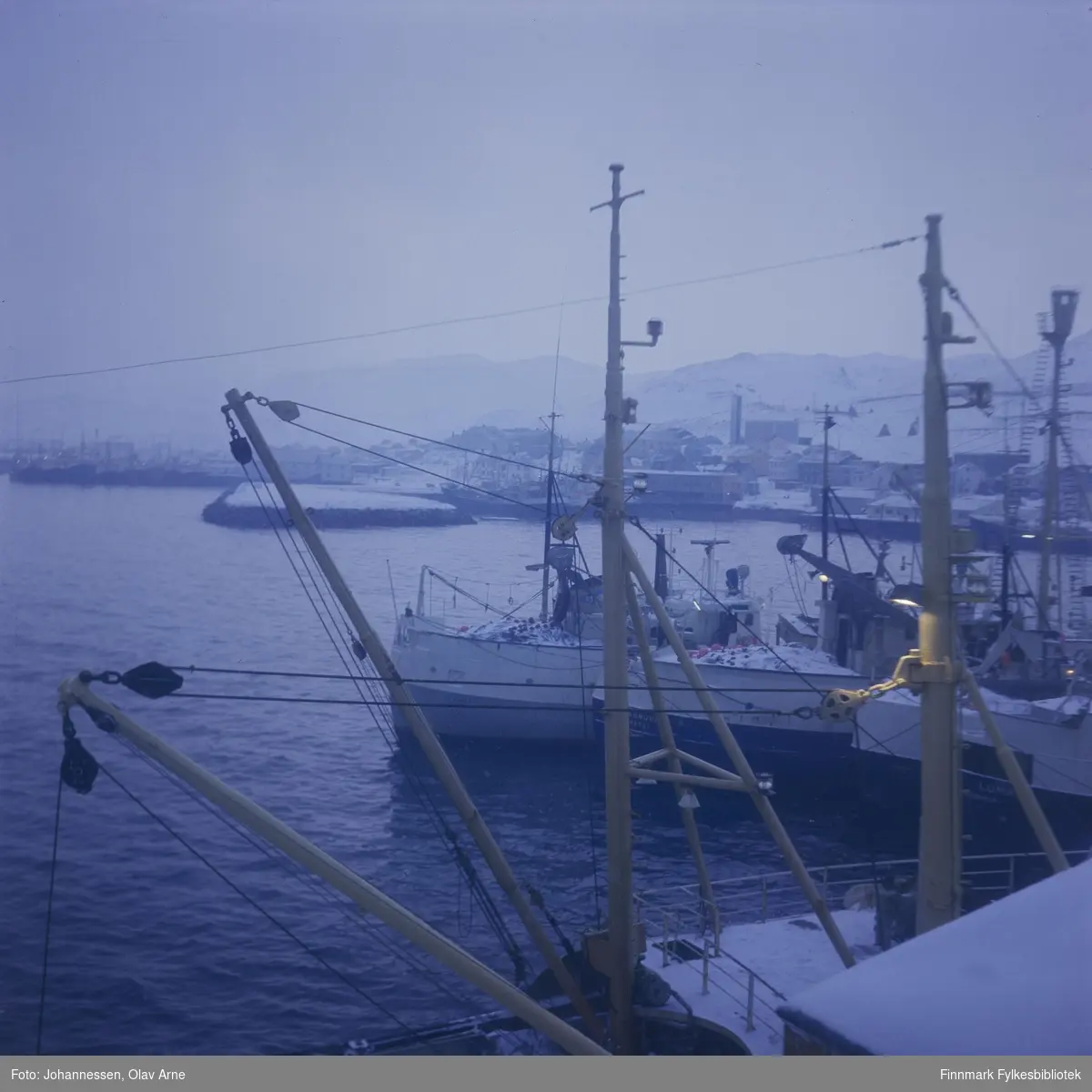 Foto av loddebåter i Båtsfjord havn 

I bakgrunnen kan man se Velferden og Båtsfjord kirke 

Trygve Nilsen kaia kan bli sett til høyre i foto 

Foto trolig tatt på 1960/70-tallet