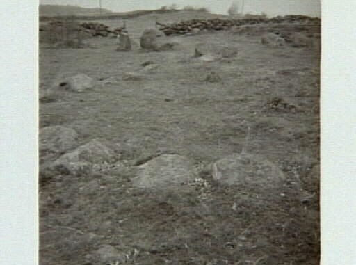 "Grimulf-ättens gravfält, Högaberg" i Grimeton. Artikel i samband med bilderna publicerad i Varbergs Tidning 1961-10-18. Gravfältet består av cirka 85 fornlämningar, bland annat av elva högar, 24 runda stensättningar, en skeppssättning och fyra domarringar. I området finns lämningar från stenålder, järnålder och bronsålder.