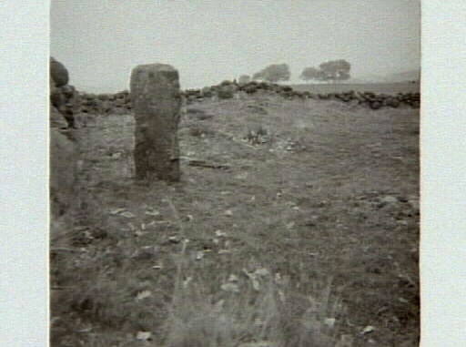 "Grimulf-ättens gravfält, Högaberg" i Grimeton. Artikel i samband med bilderna publicerad i Varbergs Tidning 1961-10-18. Gravfältet består av cirka 85 fornlämningar, bland annat av elva högar, 24 runda stensättningar, en skeppssättning och fyra domarringar. I området finns lämningar från stenålder, järnålder och bronsålder.