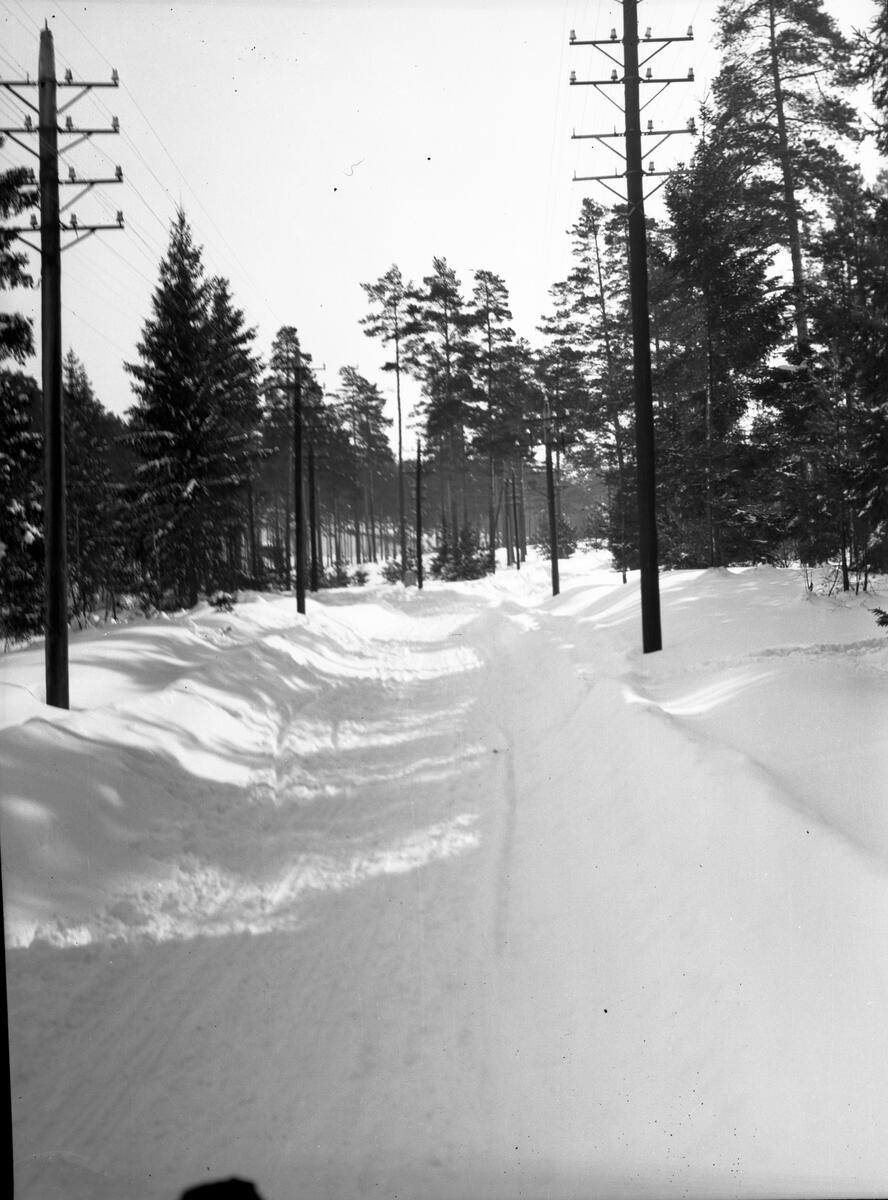 Foto av vintervei, med telefonstolper

Fotosamling etter fotograf og kringkastingsmann Rikard W. Larsson (31.12.1924 - 08.06.2015).