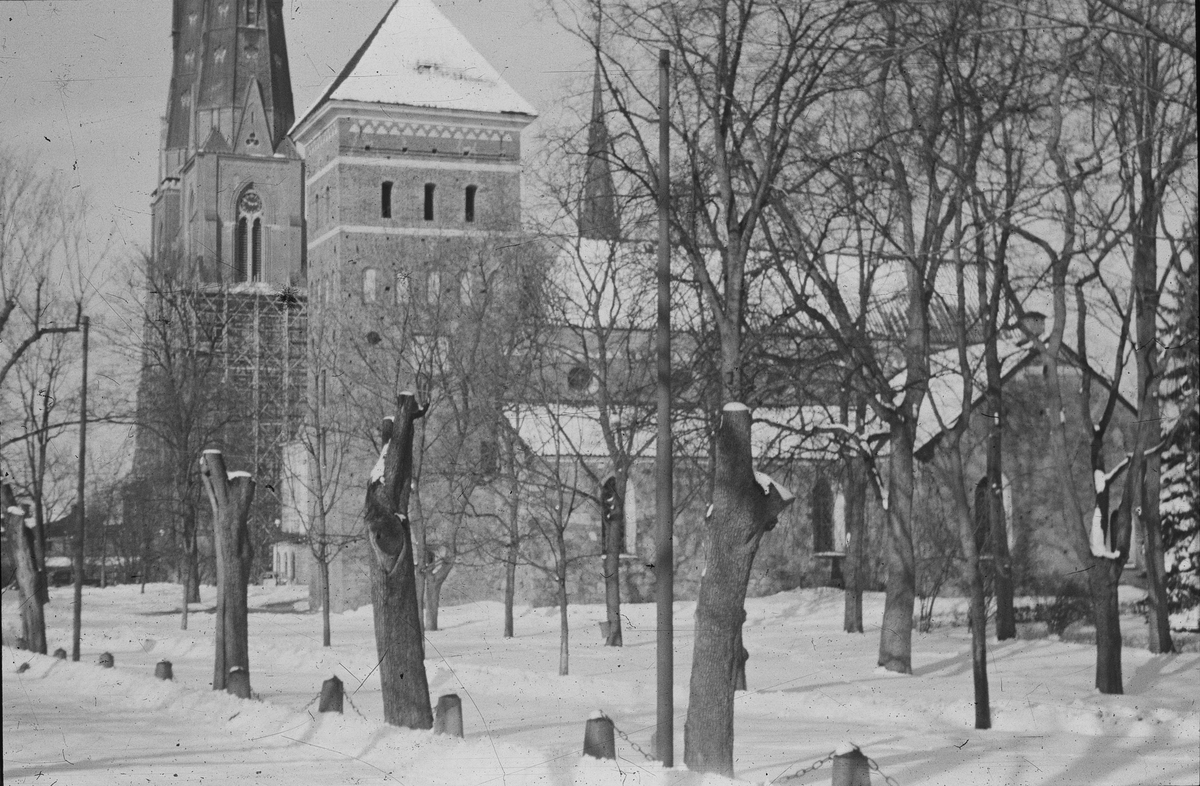 Helga Trefaldighets kyrka och Uppsala domkyrka