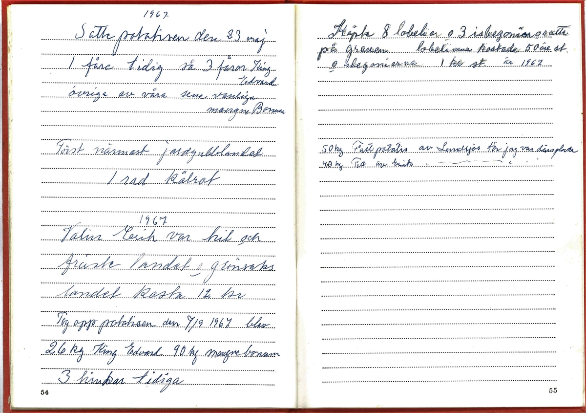 Dagbok efter Kerstin Hane i Norra Gröntuv år 1967