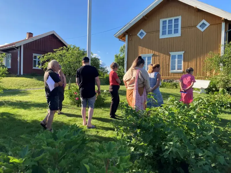 Foto av nyttevekst-vandring på Almenninga. Sommer. Busker i forgunn.