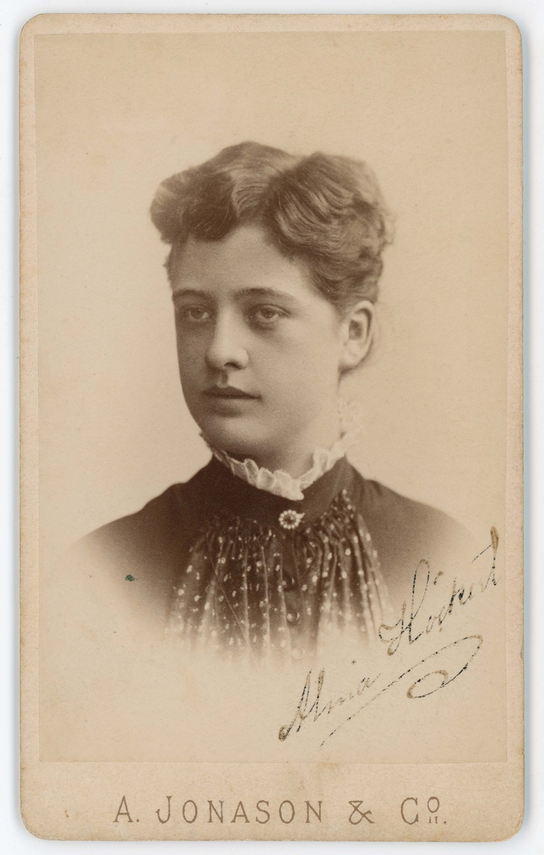 Porträtt på Höckert, Alma Fredrika Paulina