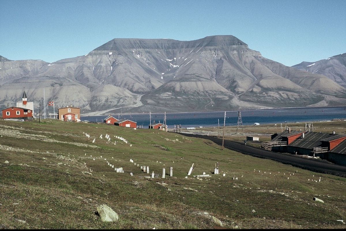 Rester av påler fra Longyearbyens første bebyggelse. Fjøset på nedsiden av veien.