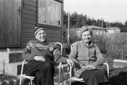 Ferieliv på Lindøya. Emilie og Henrik Jansen hører til veter