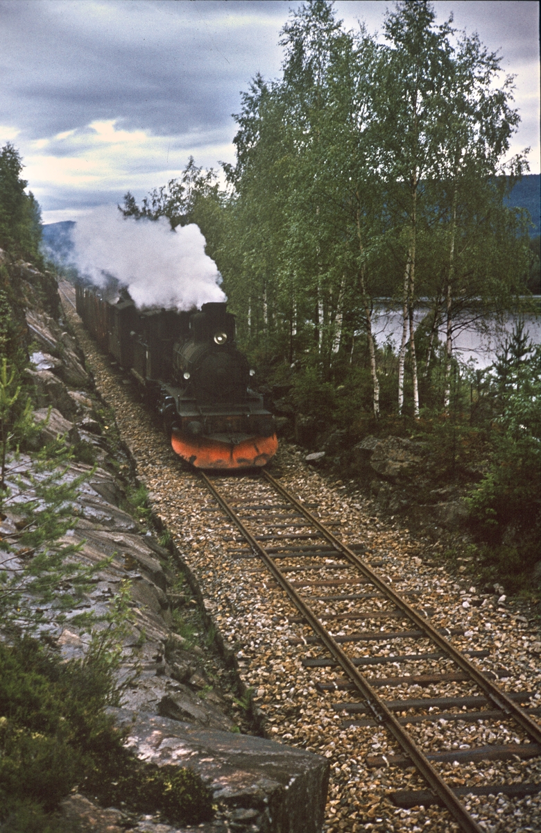 Damplokomotiv type 21b nr. 225 med godstog fra Kongsberg til Rødberg mellom Flesberg og Rollag