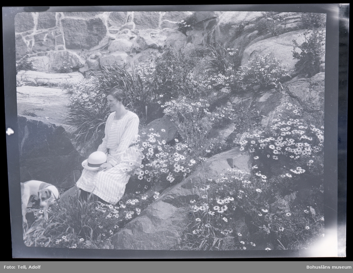 Adolf Tells fru och en hund sittandes vid en stenvägg.