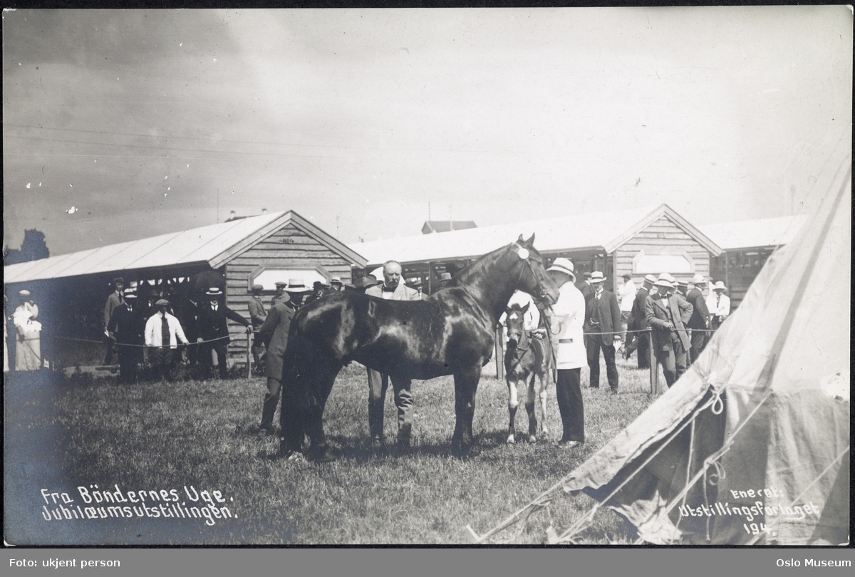Jubileumsutstillingen 1914, Bøndenes uke, hester, mennesker, paviljonger