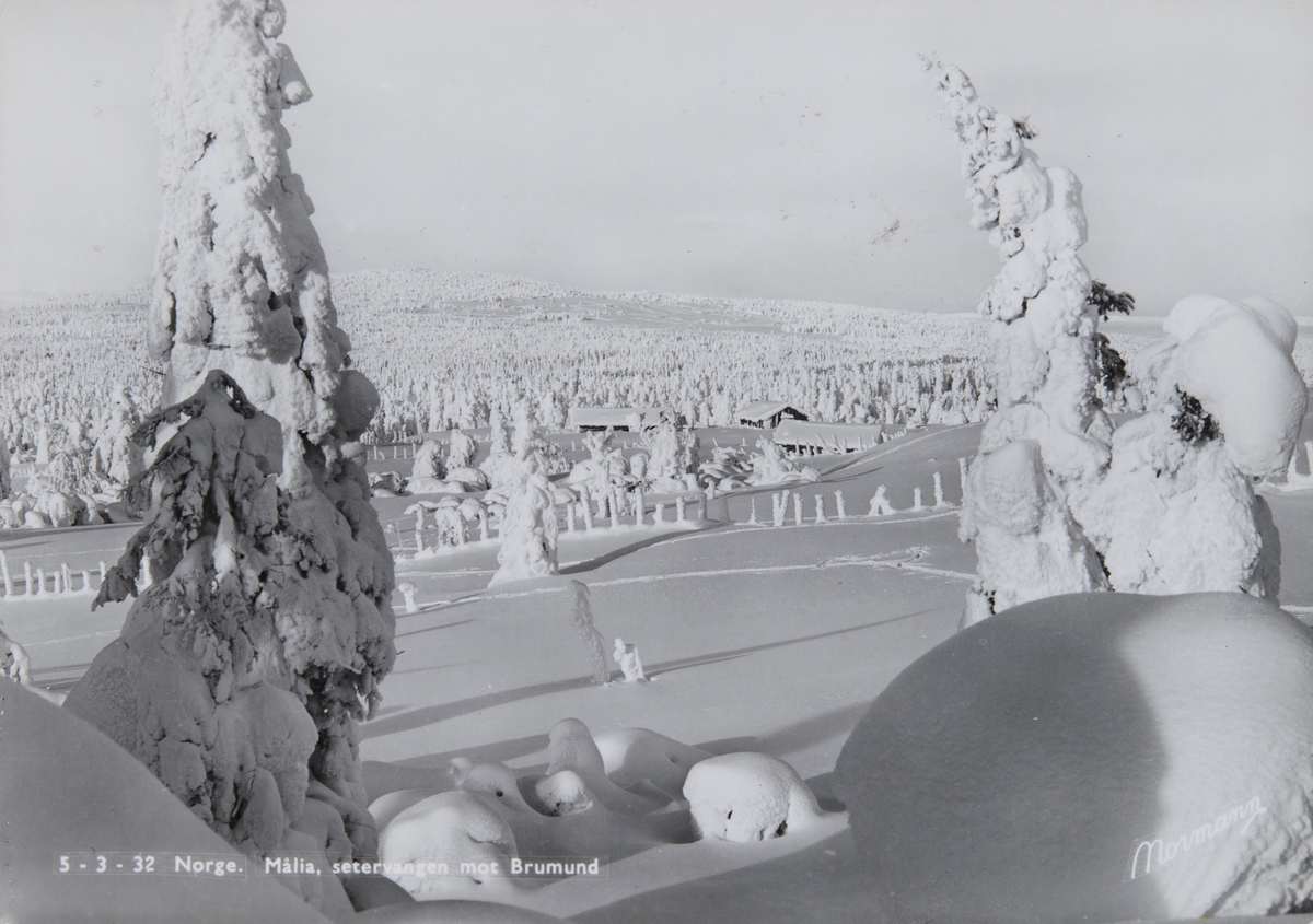 Postkort, Vang, Vangsåsen, Hedmarksvidda, utsikt fra Målia turisthytte, vinterlandskap mot Brumudkampen,