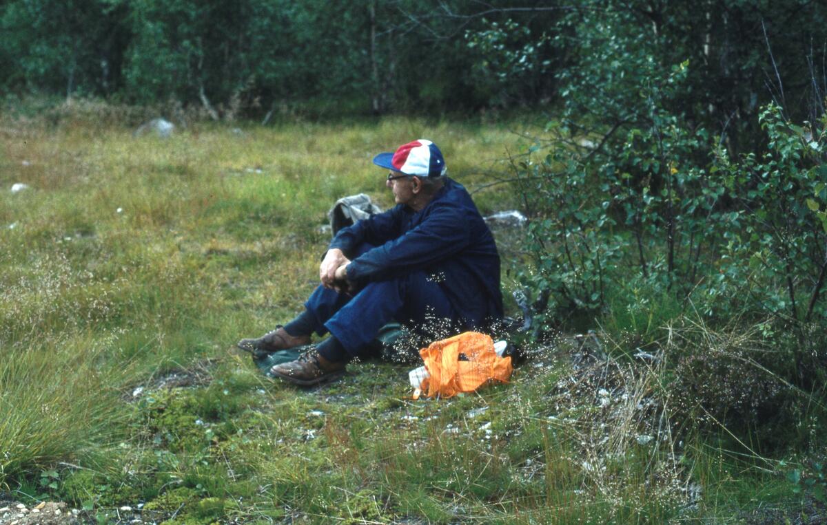 Rendalen.1980