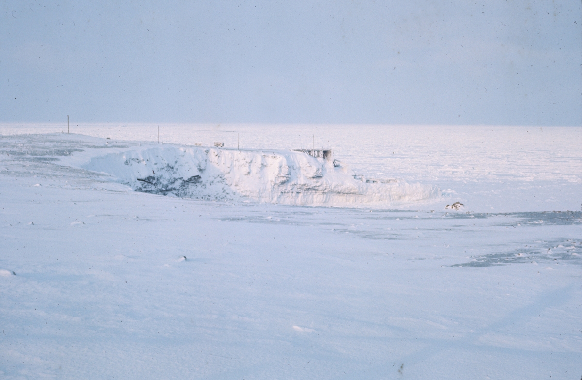 Bjørnøyas kysten dekket med snø og is. Originalen returnert til giveren.