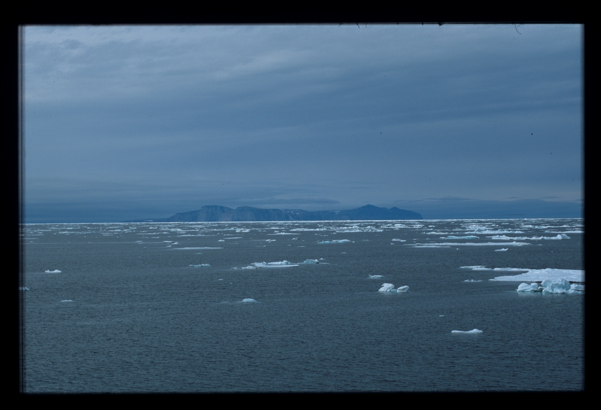 Bjørnøya øst, Miseryfjellet