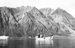 Båten Hvitfisk foran fjell