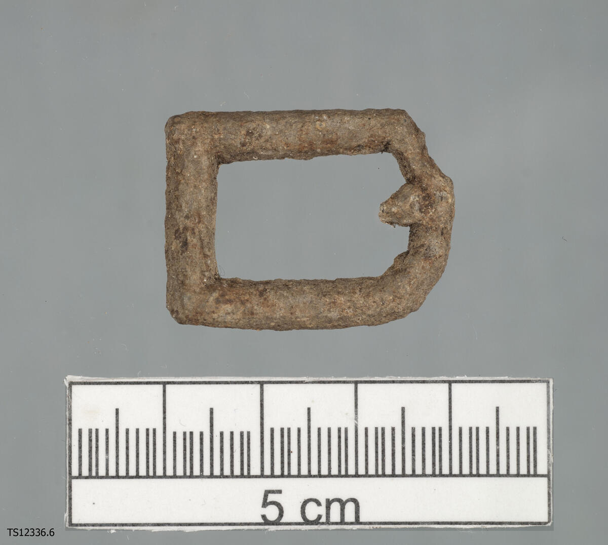 En (1) beltespenne i jern. 3,05 cm lang og 2,32 cm bred.
LokalitetsID: 263194 