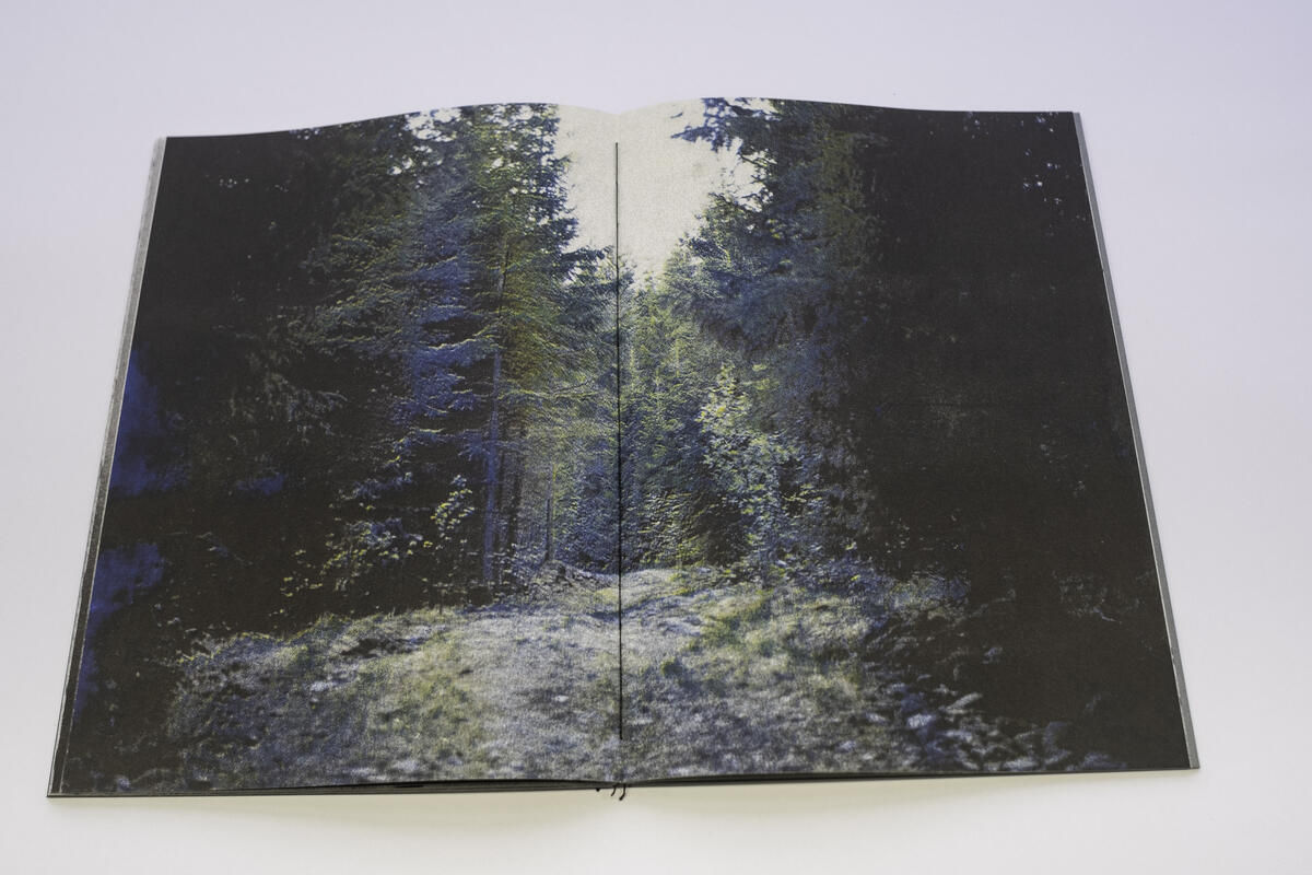 Bilde av et oppslag fra en bok. Bildet er et landskap fra Finnskogen.