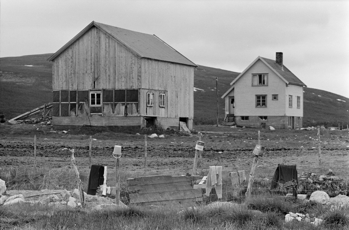 Gårdsbygninger i kystlandskap.