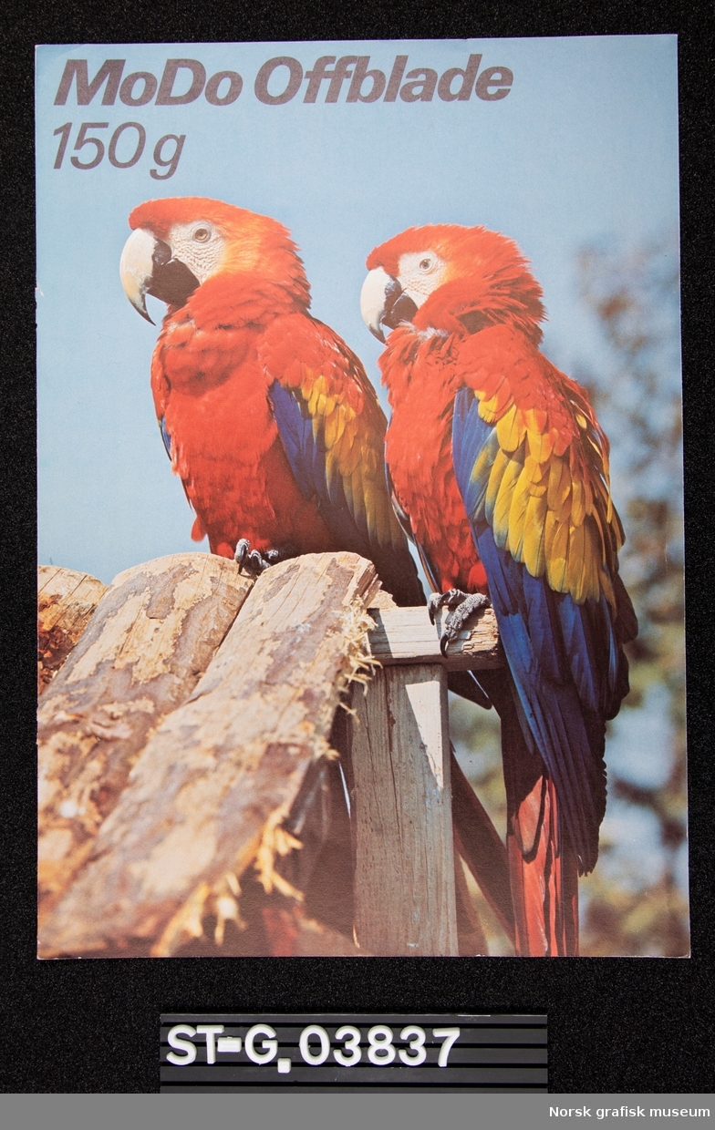 Brosjyre på 4 sider for MoDo Offblade papir. Forsiden viser et fargerikt fotografi av papegøyer, og det samme motivet brukes på de øvrige sidene av brosjyren for å demonstrere ulike trykk og farger.