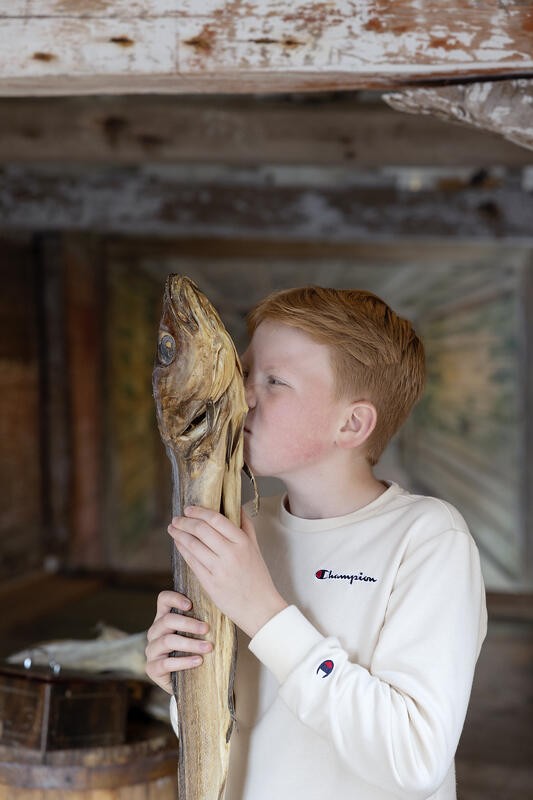 Bildet viser en ung gutt som lukter godt på en tørrfisk i et av rommene på Norges Fiskerimuseum