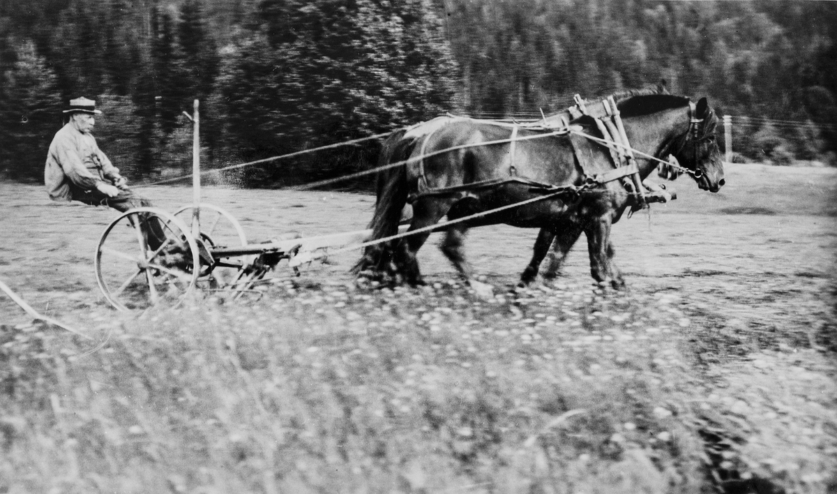 Kristoffer Kopseng med hestedreven slåmaskin. 1920-årene.