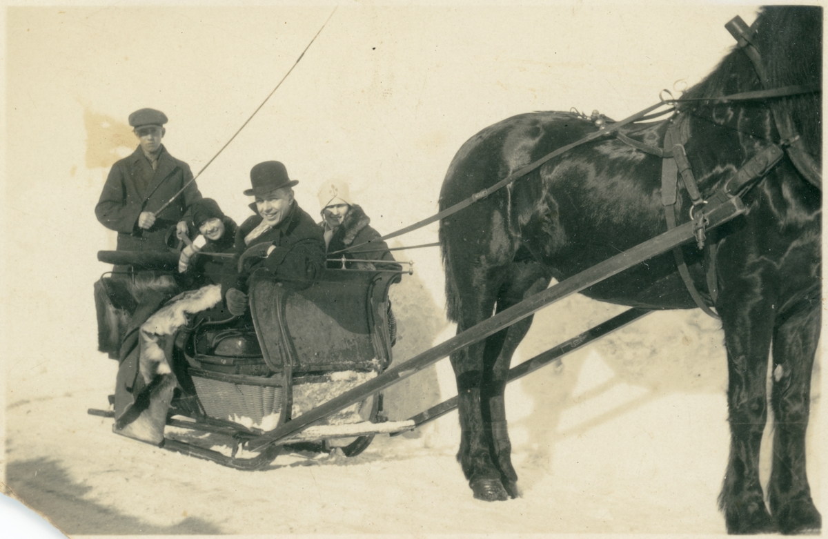 Sällskap på tur med häst och släde - Vänersborgs museum / DigitaltMuseum