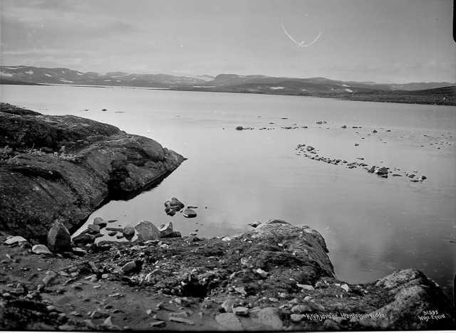 Neg: Krekjavand Hardangervidda