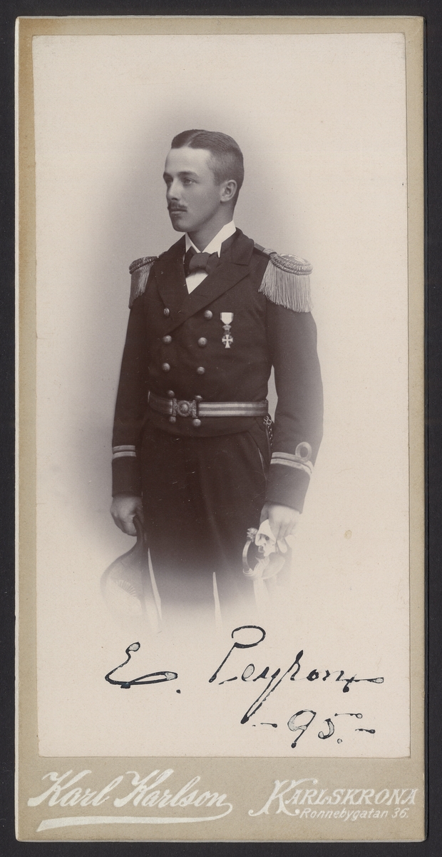 Porträtten i form av ett knästycke visar Edward Wilhelm Peyron i löjtnantsuniform. Han har tagit av hatten som han håller i sin höger hand. I vänstra handen som vilar på sabeln håller han ett par vantar.