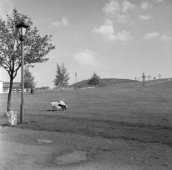 Torshovdalen. Mai 1963