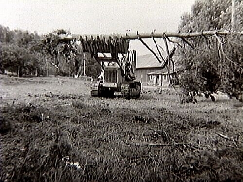 Röjningsarbete. En traktor på larvfötter (caterpillar) forslar bort ett träd som blåst ner intill bostadshuset i Ölmevalla, under höststormen 1969.