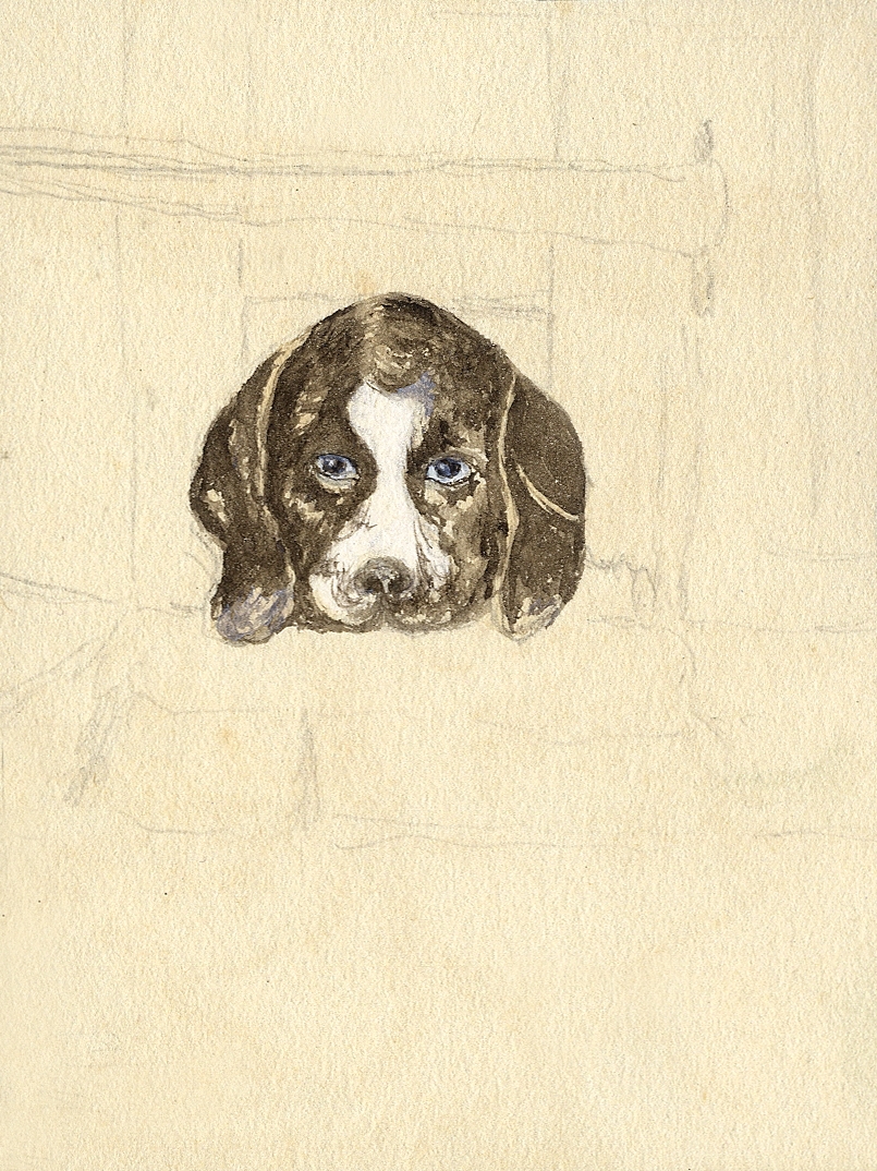 Skiss, blyerts/akvarell. Ett hundansikte, en face.

Inskrivet i huvudbok 1937.