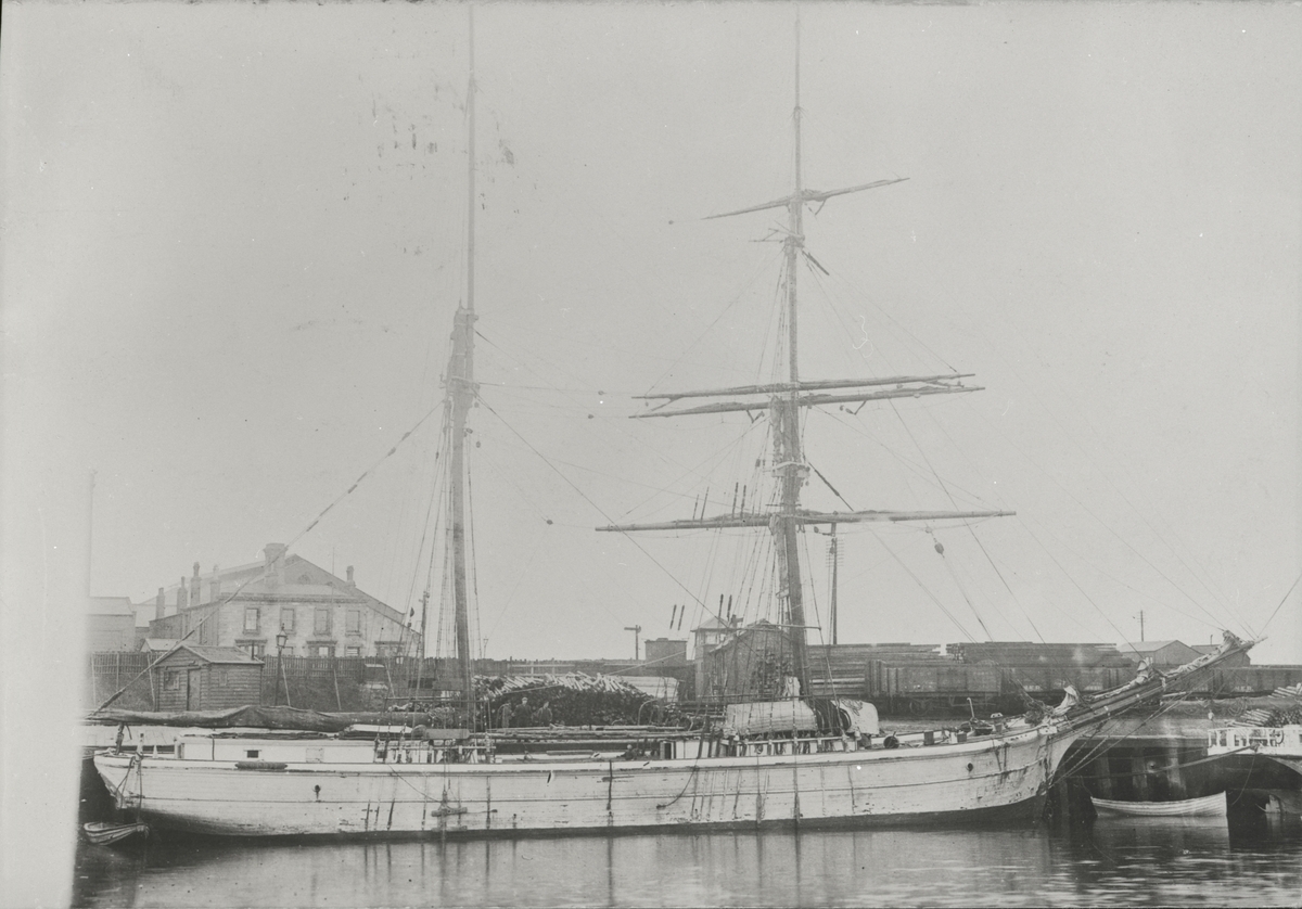 Skonerten SOFIA av Hälleviksstrand i hamn. Vykort avsänt av sjömannen Sigurd Sternvall från Hartlepool i Storbritannien 28 maj 1906.